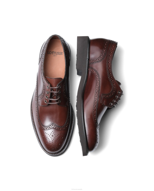 Baltimore Bright Calf Derby Lottusse Men Brown Footwear L4RH160