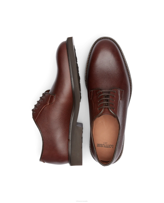 Baltimore Embossy Grain Calf Derby Lottusse Men Mocha Footwear L4RH151