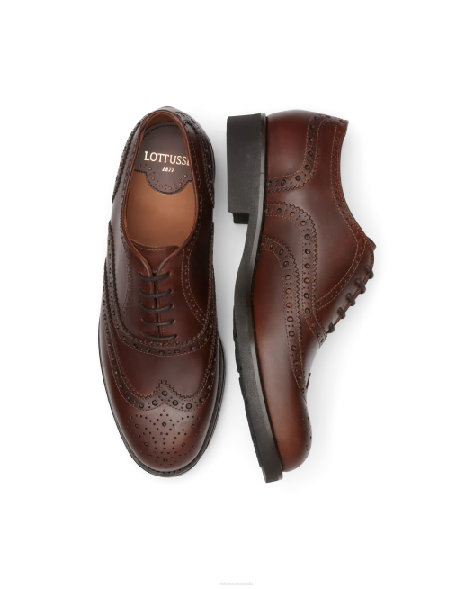 Chelsea Wax Calf Derby Lottusse Men Brown Footwear L4RH185