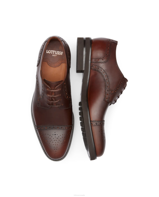 Holborn Wax Calf Derby Lottusse Men Brown Footwear L4RH148