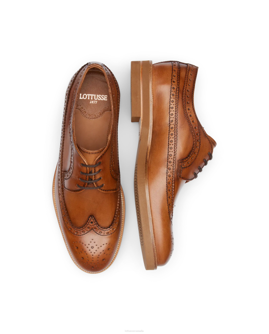 Niza Brush off Calf Derby Lottusse Men Brown Footwear L4RH112