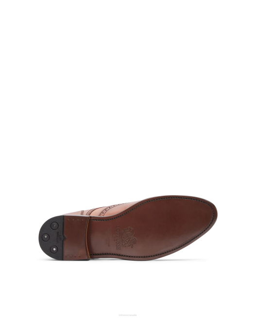 Premium Crust Anilin Calf Derby Lottusse Men Brown Footwear L4RH62