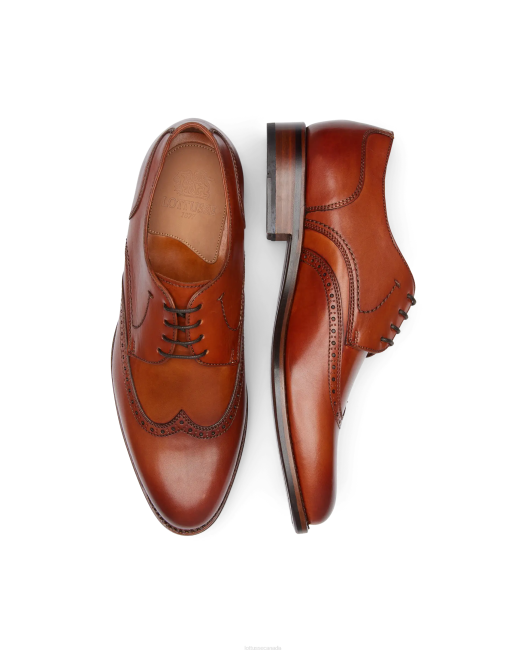Premium Crust Anilin Calf Derby Lottusse Men Brown Footwear L4RH62
