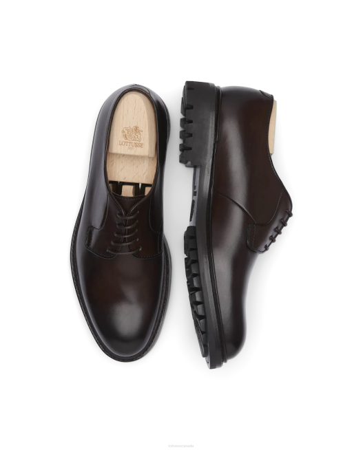 Walton Crust Anilin Calf Derby Lottusse Men Mocha Footwear L4RH57