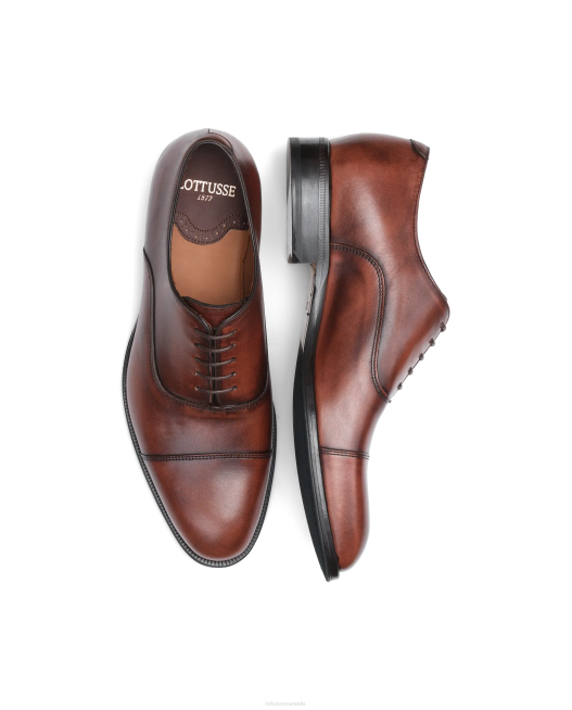 Lenox Brush Off Calf Oxford Lottusse Men Brown Footwear L4RH137