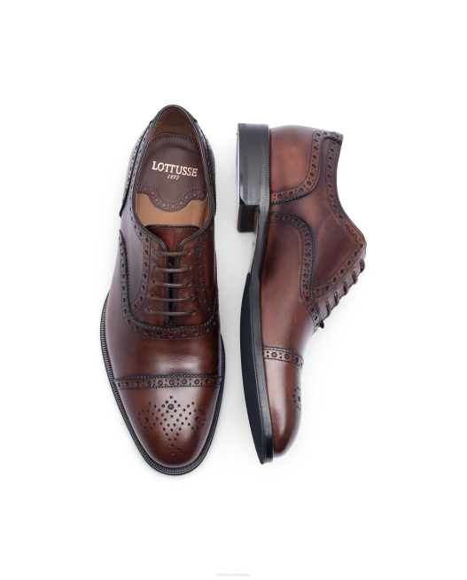Lenox Brush Off Calf Oxford Lottusse Men Brown Footwear L4RH139