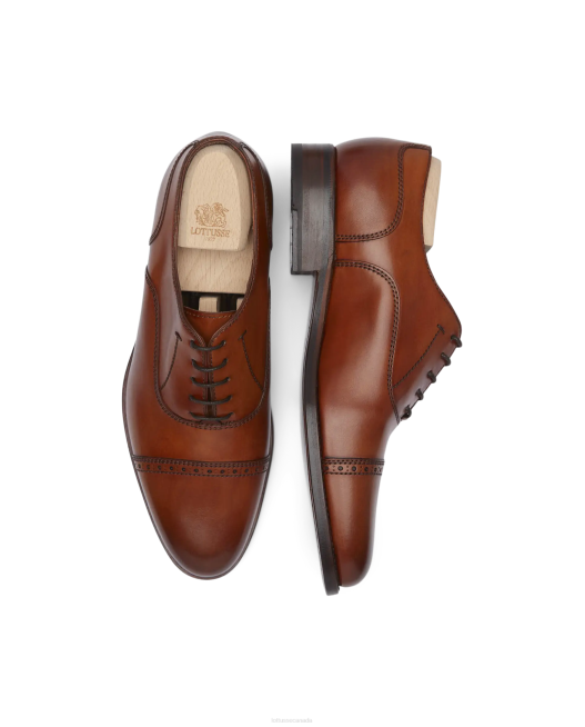 Premium Crust Anilin Calf Oxford Lottusse Men Brown Footwear L4RH51