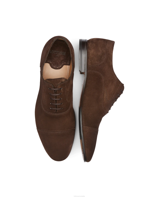 Verona Brush off Calf Oxford Lottusse Men Mocha Footwear L4RH75