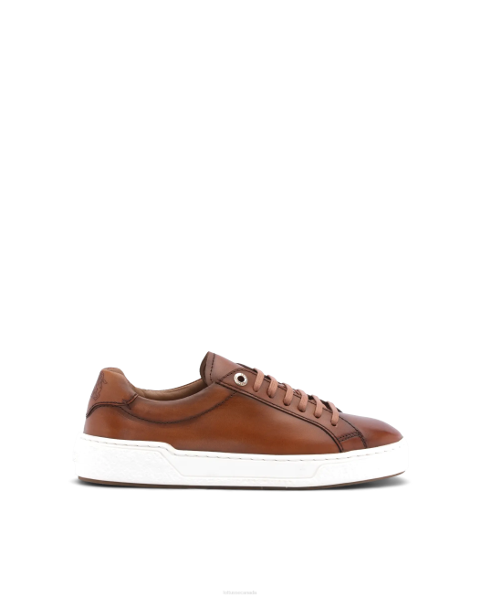 Torino Calf Sneakers Lottusse Men Brown Footwear L4RH189