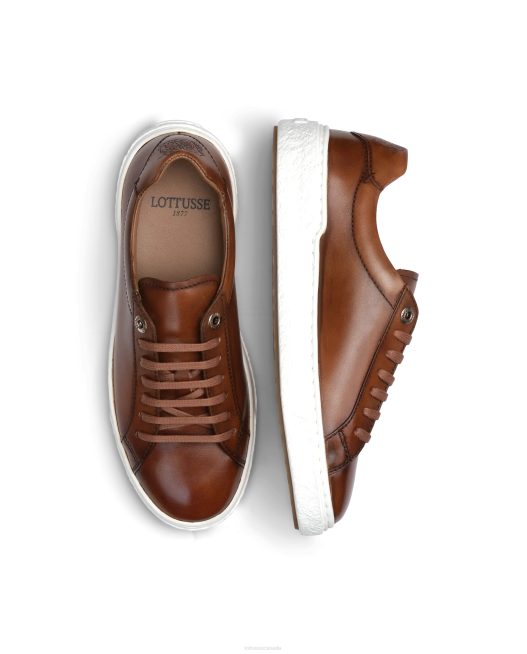 Torino Calf Sneakers Lottusse Men Brown Footwear L4RH189