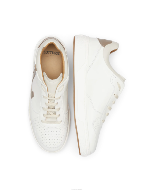 Torino Plain Grain Calf Sneakers Lottusse Men Off White Footwear L4RH192
